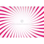 Pink radial beams vector
