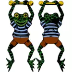 Vector image of acrobat frog