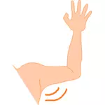 Vector graphics of arm pit
