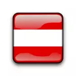 Botón de bandera de Austria