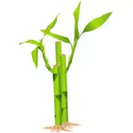 竹の茎のベクトル図のクローズ アップ
