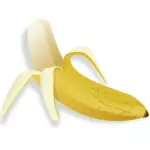 Vektor menggambar setengah kupas pisang