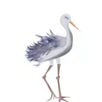 Young stork vector image