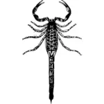 Imagine de vector bază scorpion