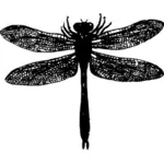 Dragonfly siluet