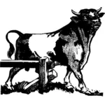 Vector illustraties van stier remmen hek