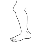 man's leg line art vector clip art