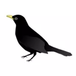 Blackbird standing vector clip art