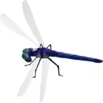 Desenho de libélula