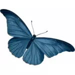 블루 나비 벡터