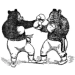 الملاكمة الدببة المتجه