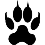 Dog or wolf footstep