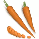 Kuoritut ja hienonnetut porkkanat