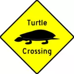 Turtle crossing caution