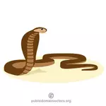 Kobra käärme