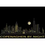 Copenhague de nuit