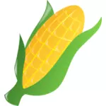 Maïs en épi 2