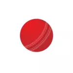 Cricket ball vector image
