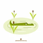 Crocodilo na água