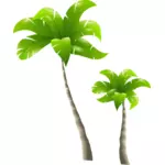 Zwei Palmen