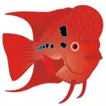 Flowerhorn Fish  Vector Image