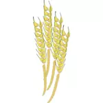Vector graphics of wheat sheaths