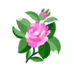 Design för damast rose
