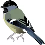 Imagem vetorial de pássaro colorido com frente cinza