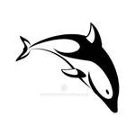 Monochromes Bild Delfin