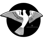 White dove symbol of peace