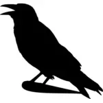 Clip art of dark colored raven