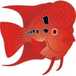 Красная рыбка