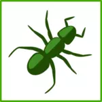 Grüne Spinne Vektorgrafik