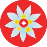 السويسرية الصليب وزهرة