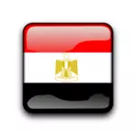 Webben knappen med flagga Egypten