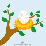 ביצה בקן