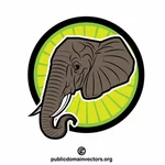 Elefantenkopf mit Stoßzähnen