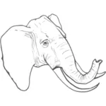Viivataiteen vektoripiirros elefantista