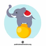 Elefant pe minge