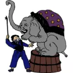 התמונה מאמן פילים