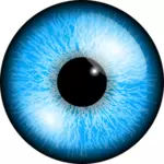 Blauw oog vector afbeelding