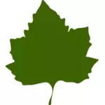 Zielony liść jesieni wektor rysunek