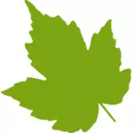 Zelené javorový list vektorový obrázek