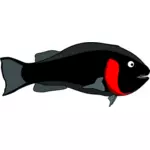 Ikan hitam