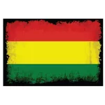 علم بوليفيا مع نسيج الجرونج