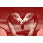 Flamingos in heart shape