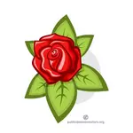Czerwona róża z zielonych liści
