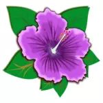 Fleur violette à feuilles