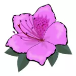 Różowy kwiat grafiki clipart