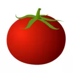 Tuore tomaatti